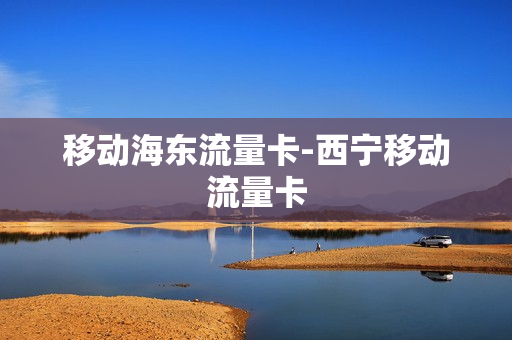 移动海东流量卡-西宁移动流量卡