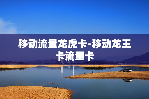 移动流量龙虎卡-移动龙王卡流量卡