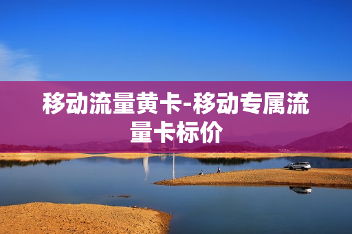 移动流量黄卡-移动专属流量卡标价