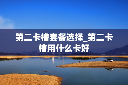第二卡槽套餐选择_第二卡槽用什么卡好
