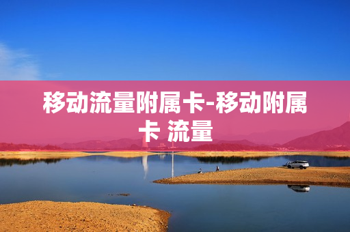 移动流量附属卡-移动附属卡 流量