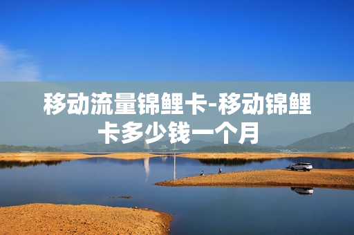移动流量锦鲤卡-移动锦鲤卡多少钱一个月