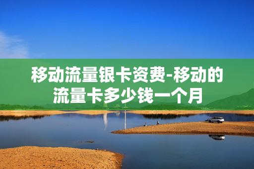 移动流量银卡资费-移动的流量卡多少钱一个月