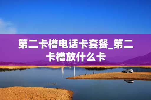 第二卡槽电话卡套餐_第二卡槽放什么卡