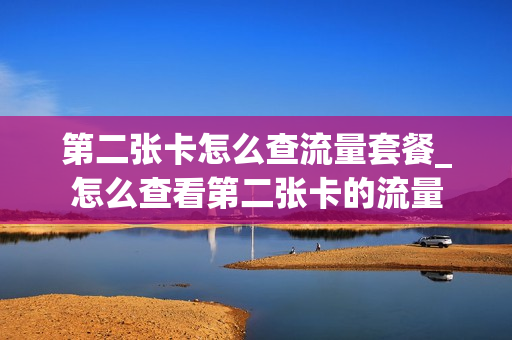 第二张卡怎么查流量套餐_怎么查看第二张卡的流量