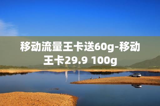 移动流量王卡送60g-移动王卡29.9 100g