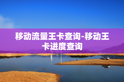 移动流量王卡查询-移动王卡进度查询