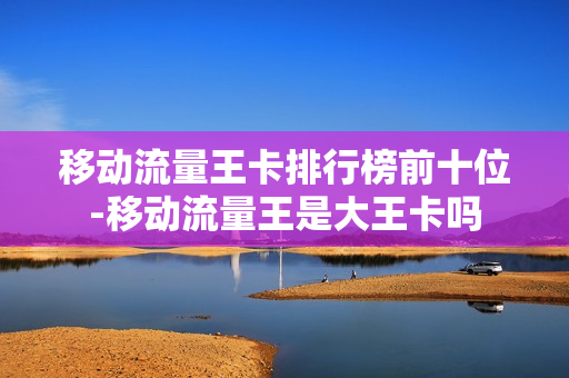 移动流量王卡排行榜前十位-移动流量王是大王卡吗