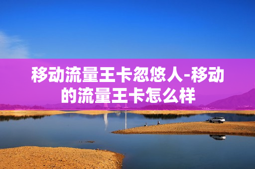 移动流量王卡忽悠人-移动的流量王卡怎么样