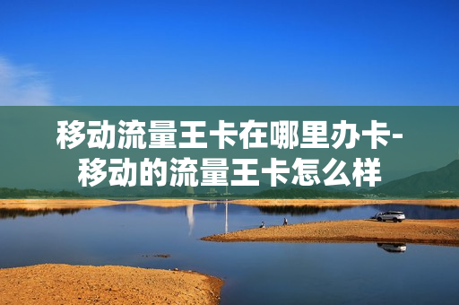 移动流量王卡在哪里办卡-移动的流量王卡怎么样