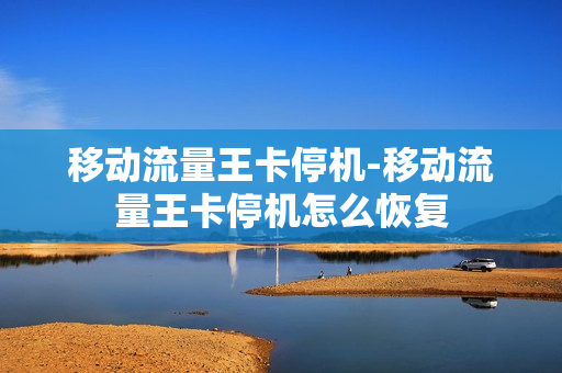 移动流量王卡停机-移动流量王卡停机怎么恢复