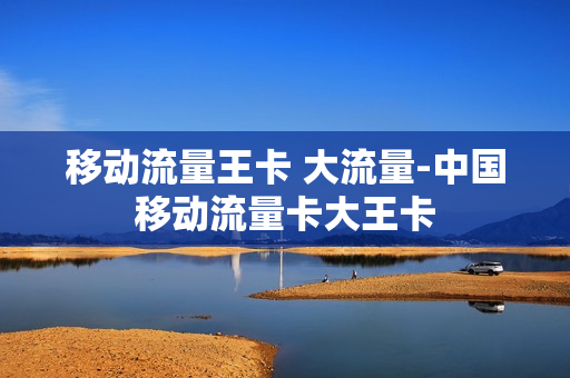 移动流量王卡 大流量-中国移动流量卡大王卡