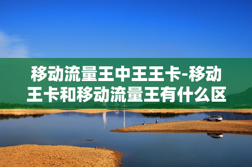 移动流量王中王王卡-移动王卡和移动流量王有什么区别