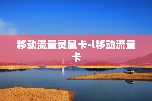 移动流量灵鼠卡-l移动流量卡