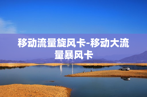 移动流量旋风卡-移动大流量暴风卡