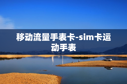 移动流量手表卡-sim卡运动手表