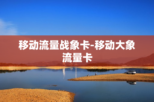 移动流量战象卡-移动大象流量卡