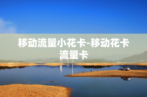移动流量小花卡-移动花卡流量卡