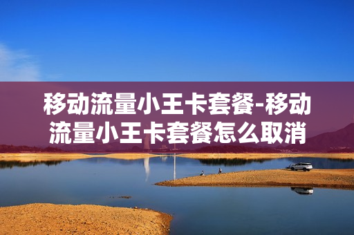 移动流量小王卡套餐-移动流量小王卡套餐怎么取消