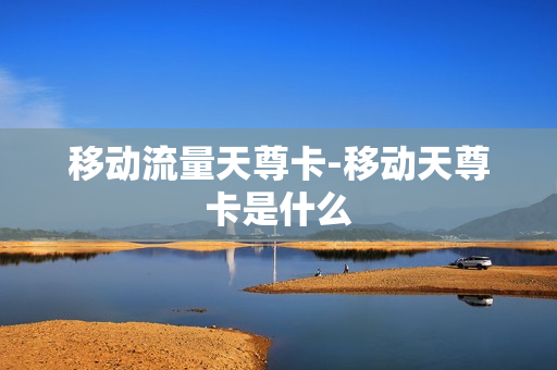 移动流量天尊卡-移动天尊卡是什么