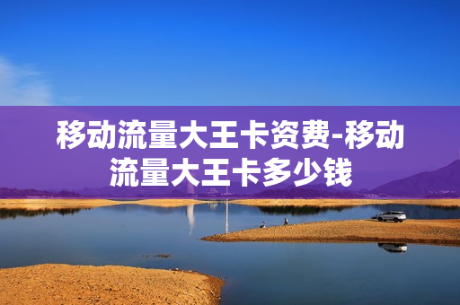 移动流量大王卡资费-移动流量大王卡多少钱