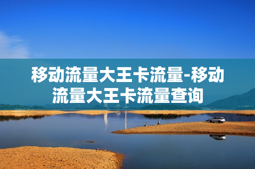 移动流量大王卡流量-移动流量大王卡流量查询
