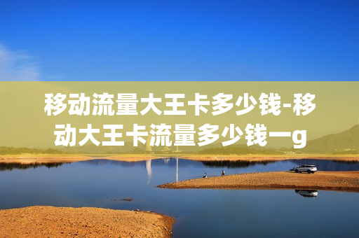 移动流量大王卡多少钱-移动大王卡流量多少钱一g