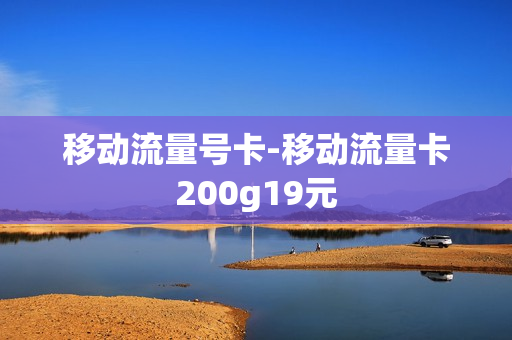 移动流量号卡-移动流量卡200g19元
