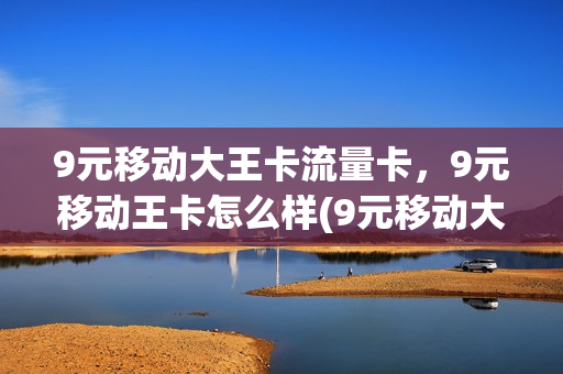 9元移动大王卡流量卡，9元移动王卡怎么样(9元移动大王卡流量卡,9元移动王卡怎么样)