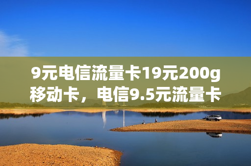 9元电信流量卡19元200g移动卡，电信9.5元流量卡(电信9块9包100g流量卡)
