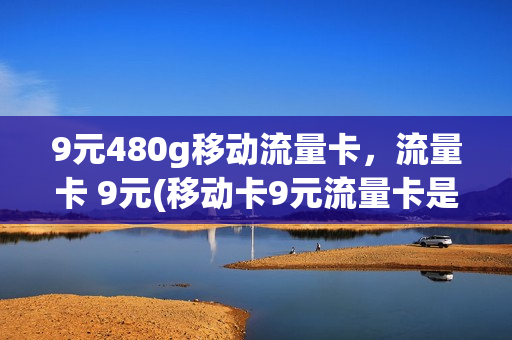 9元480g移动流量卡，流量卡 9元(移动卡9元流量卡是真的吗)