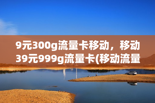 9元300g流量卡移动，移动39元999g流量卡(移动流量卡9元360g)