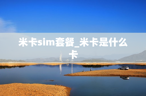 米卡sim套餐_米卡是什么卡