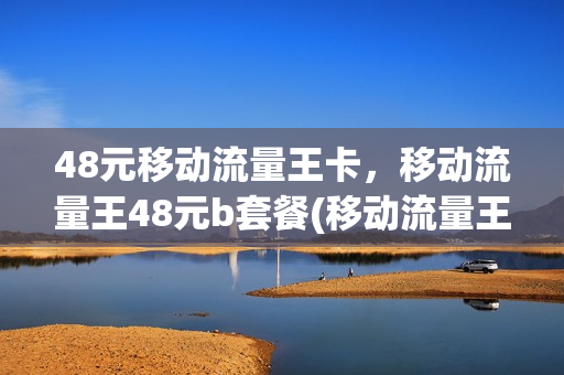 48元移动流量王卡，移动流量王48元b套餐(移动流量王48b套餐2017)