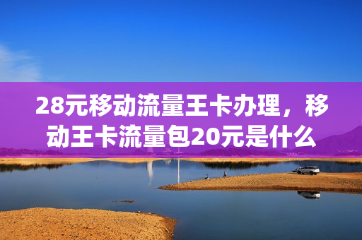 28元移动流量王卡办理，移动王卡流量包20元是什么意思(移动王卡20元套餐介绍)