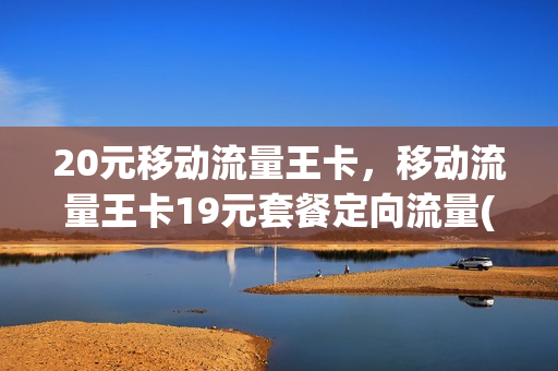 20元移动流量王卡，移动流量王卡19元套餐定向流量(移动流量王卡19元套餐没有通用流量吗)