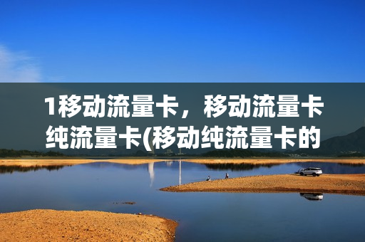 1移动流量卡，移动流量卡纯流量卡(移动纯流量卡的种类)