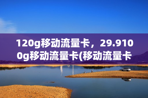 120g移动流量卡，29.9100g移动流量卡(移动流量卡100g29元)