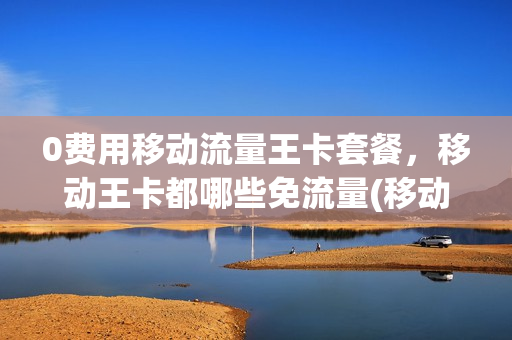 0费用移动流量王卡套餐，移动王卡都哪些免流量(移动王卡免流什么意思)