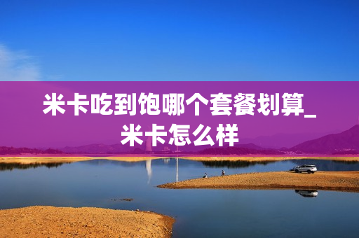 米卡吃到饱哪个套餐划算_米卡怎么样