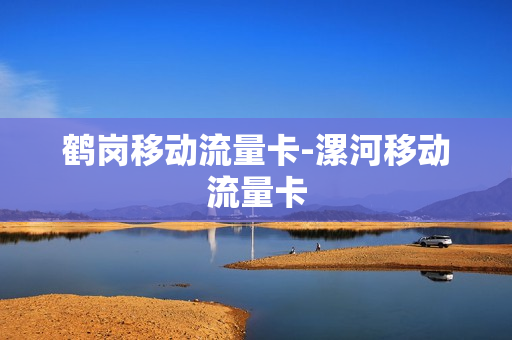鹤岗移动流量卡-漯河移动流量卡