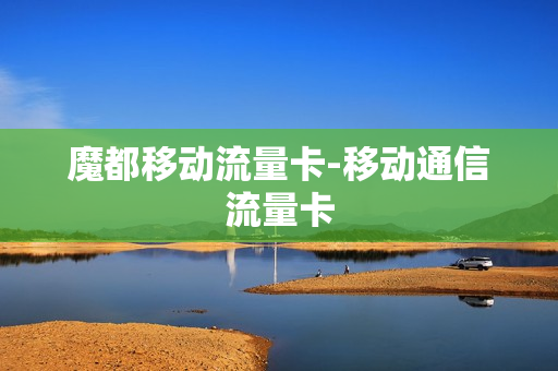 魔都移动流量卡-移动通信流量卡