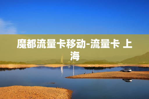 魔都流量卡移动-流量卡 上海