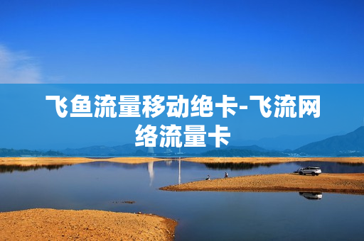 飞鱼流量移动绝卡-飞流网络流量卡