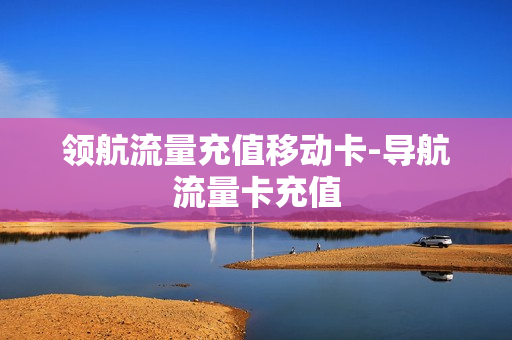 领航流量充值移动卡-导航流量卡充值