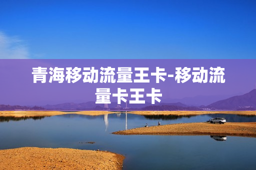 青海移动流量王卡-移动流量卡王卡