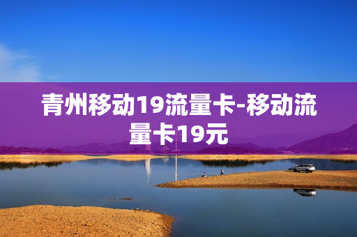 青州移动19流量卡-移动流量卡19元