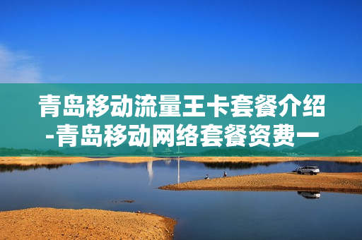 青岛移动流量王卡套餐介绍-青岛移动网络套餐资费一览表2020