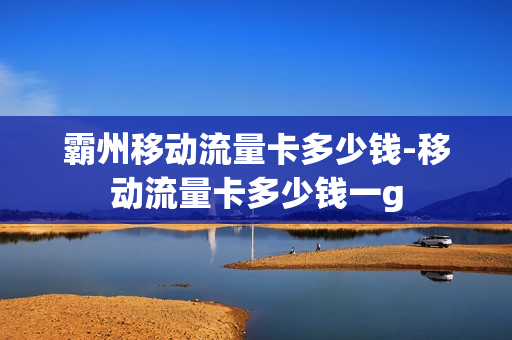 霸州移动流量卡多少钱-移动流量卡多少钱一g