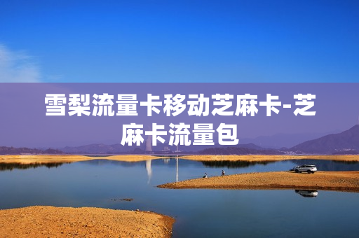 雪梨流量卡移动芝麻卡-芝麻卡流量包
